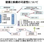 一番大好きな整体理論 操体法