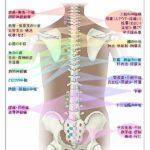 肩首腰が痛いどこが悪いの?