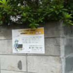 ミニュチュアピンシャー福ちゃんの引き寄せ