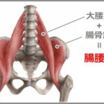 お尻、殿筋を強くする方法