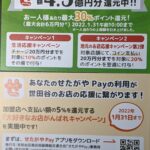 せたがやPayのキャンペーンお得な情報です