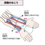 体調不良の原因前腕に有り