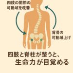 四肢と背骨を整える整体法｜千歳船橋 祐気堂マッサージ