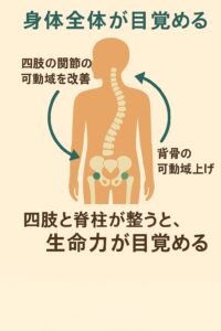 四肢と背骨を整える整体法｜千歳船橋 祐気堂マッサージ