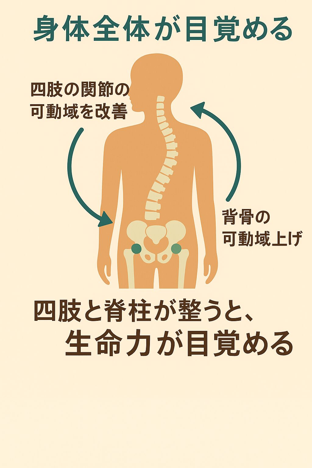 四肢と背骨を整える整体法｜千歳船橋 祐気堂マッサージ