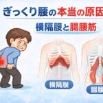ぎっくり腰の本当の原因は腰ではない?横隔膜と腸腰筋の関係