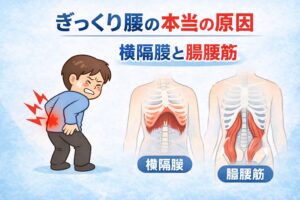 ぎっくり腰の本当の原因は腰ではない?横隔膜と腸腰筋の関係