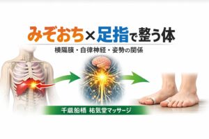 みぞおちが硬い人の特徴5つ横隔膜と自律神経・腰痛の関係【千歳船橋 祐気堂マッサージ】