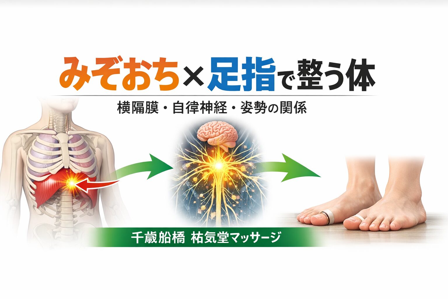 みぞおちが硬い人の特徴5つ横隔膜と自律神経・腰痛の関係【千歳船橋 祐気堂マッサージ】