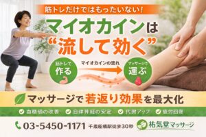 筋トレだけではもったいない！マイオカインは流して効く｜千歳船橋