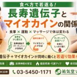 食べ方で若返る？長寿遺伝子とマイオカインの関係千歳船橋駅 祐気堂
