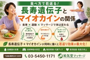 食べ方で若返る？長寿遺伝子とマイオカインの関係千歳船橋駅 祐気堂