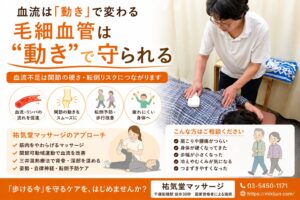 【千歳船橋 マッサージ】血流不足と毛細血管のゴースト化｜関節を動かす大切さとは？