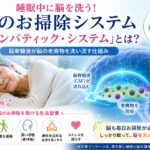 脳のお掃除システム「グリンパティック・システム」とは？睡眠と認知症予防の新常識