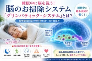 脳のお掃除システム「グリンパティック・システム」とは？睡眠と認知症予防の新常識
