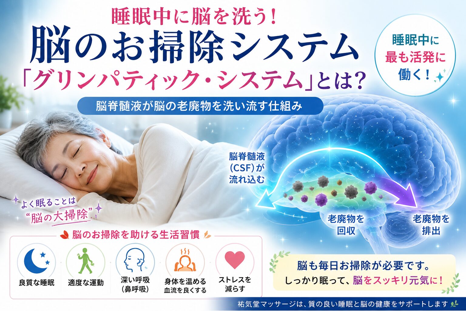 脳のお掃除システム「グリンパティック・システム」とは？睡眠と認知症予防の新常識
