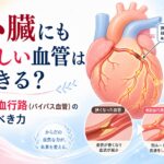 心臓にも新しい血管はできる?側副血行路(バイパス血管)の力