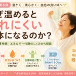 なぜ温めると疲れにくい身体になるのか？｜血流・自律神経・エネルギー代謝のしくみを解説【第6弾】