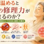 温めると体の修理力が高まる？CD34+細胞と血管再生を解説