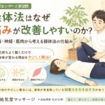 操体法はなぜ痛みが改善しやすいのか？脳・神経・筋肉からやさしく解説