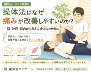 操体法はなぜ痛みが改善しやすいのか?脳・神経・筋肉からやさしく解説