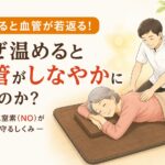 なぜ温めると血管がしなやかになるのか？一酸化窒素（NO）が血管を守るしくみ｜千歳船橋 祐気堂マッサージ