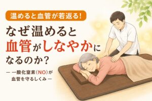 なぜ温めると血管がしなやかになるのか？一酸化窒素（NO）が血管を守るしくみ｜千歳船橋 祐気堂マッサージ