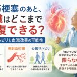 心筋梗塞後の心臓は回復する?冬眠心筋・心臓リハビリ・血流改善の可能性