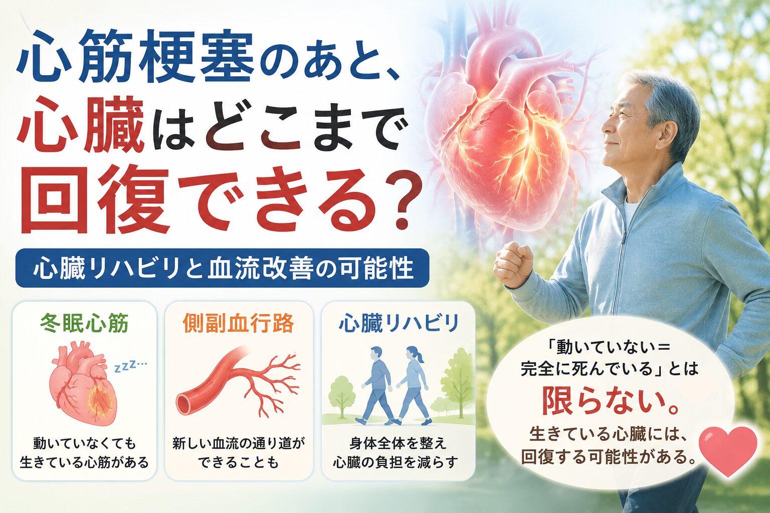 心筋梗塞後の心臓は回復する?冬眠心筋・心臓リハビリ・血流改善の可能性