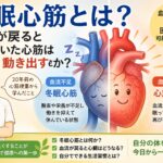 冬眠心筋とは？血流が戻ると眠っていた心筋は動き出すのか｜心筋梗塞から学んだ回復力