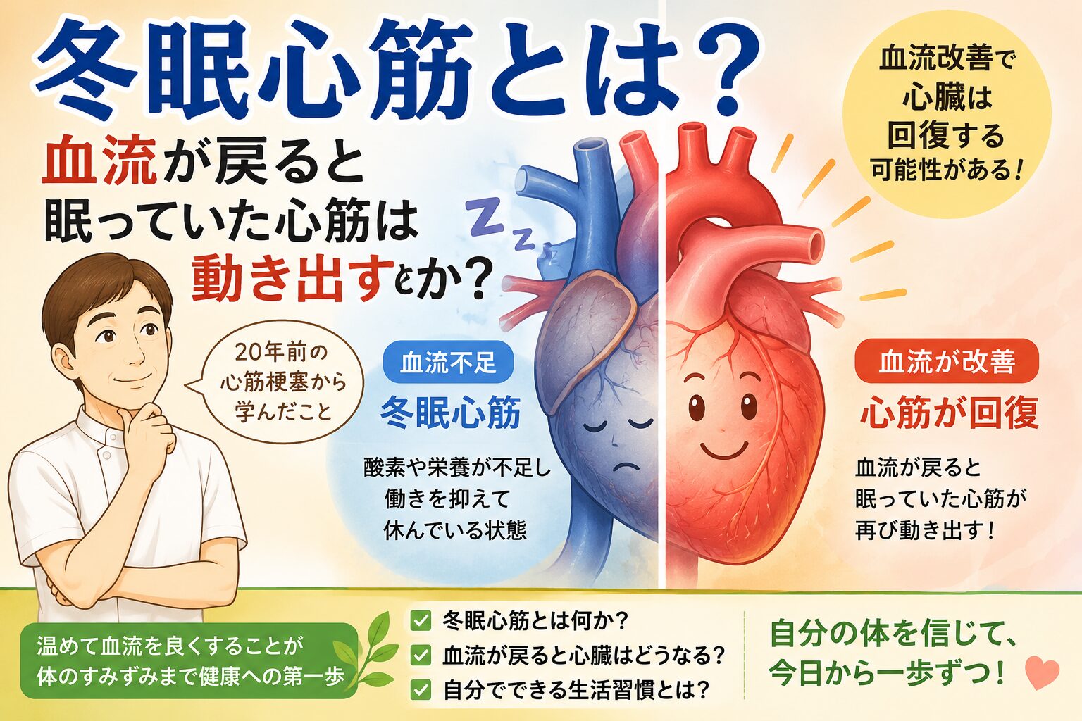 冬眠心筋とは？血流が戻ると眠っていた心筋は動き出すのか｜心筋梗塞から学んだ回復力