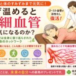 なぜ温めると毛細血管が元気になるのか？｜ゴースト血管と血流改善の仕組みをわかりやすく解説