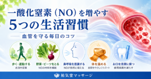 一酸化窒素（NO）を増やす5つの生活習慣｜血管の健康を守るために