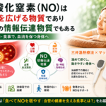 一酸化窒素(NO)は血管を広げるだけじゃない|全身をつなぐ「情報伝達物質」の働き