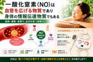 一酸化窒素(NO)は血管を広げるだけじゃない|全身をつなぐ「情報伝達物質」の働き