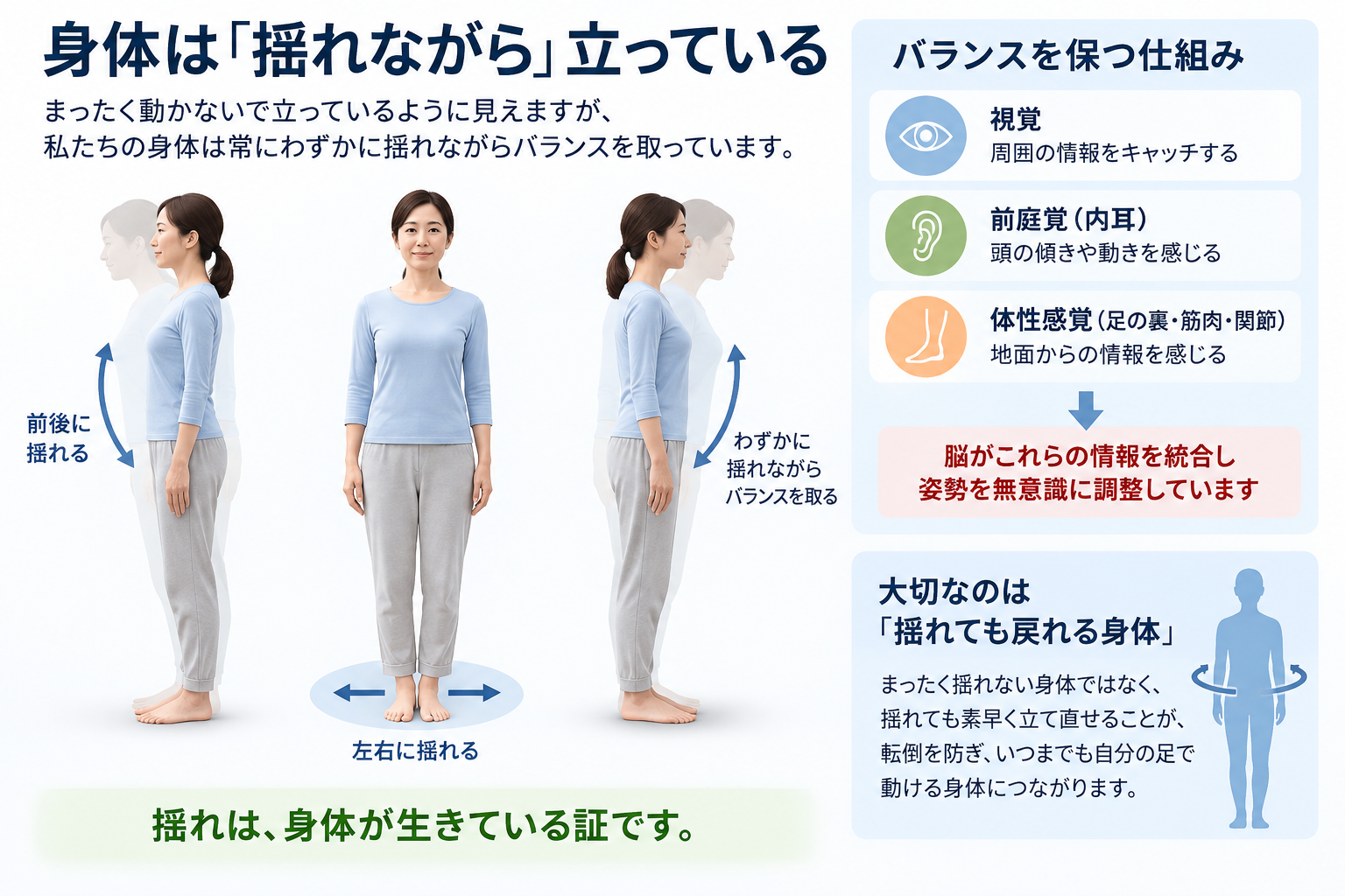 身体が前後左右にわずかに揺れながらバランスを取る仕組み