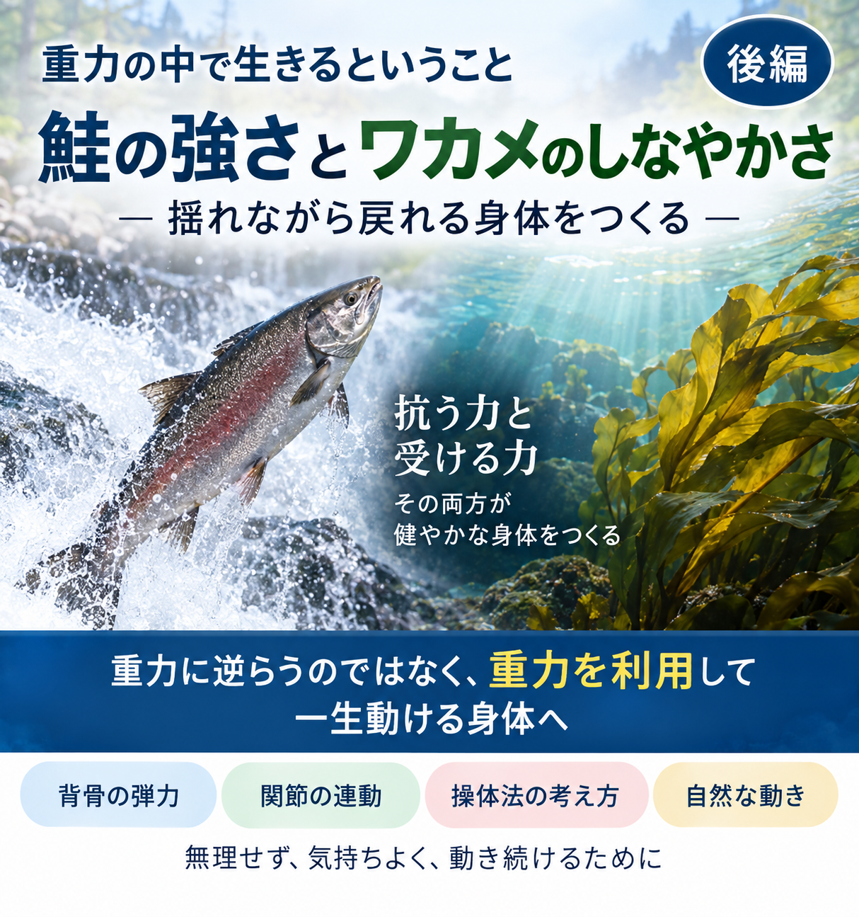 鮭の強さ、ワカメの強さ―重力の中で一生動ける身体を考える【後編】